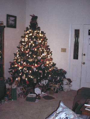 The 'big tree' in the living room